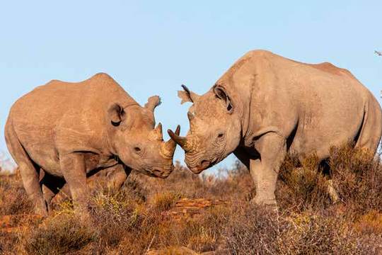 Karoo National Park
