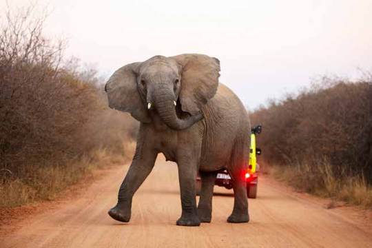 Dinokeng Nature Reserve