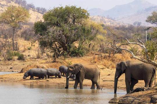 Pilanesberg National Park