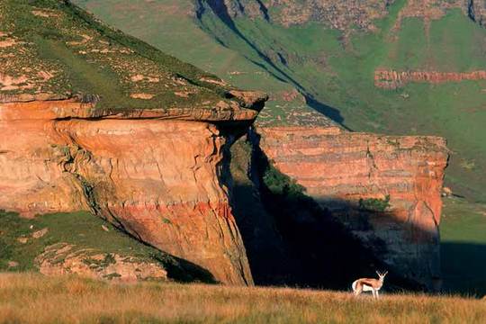 Golden Gate Highlands National Park