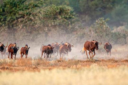 Camdeboo National Park