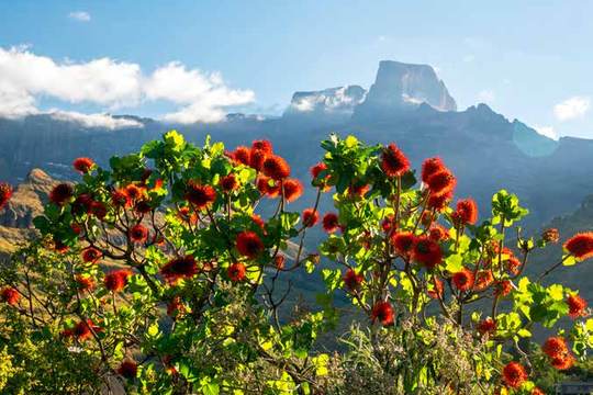 uKhahlamba-Drakensberg Park