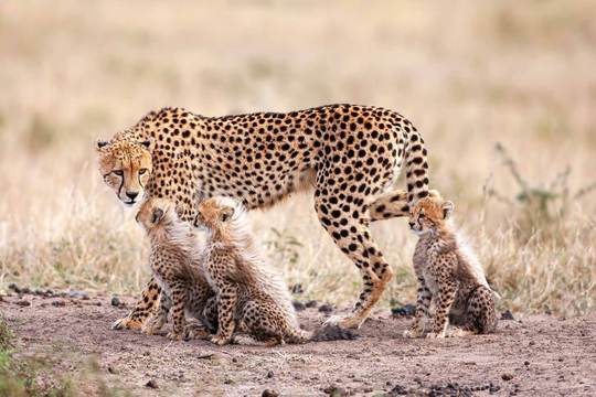 Kruger National Park