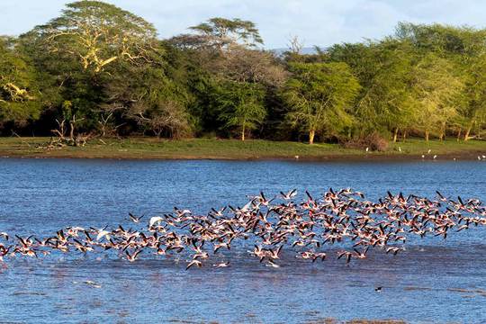Ndumo Game Reserve