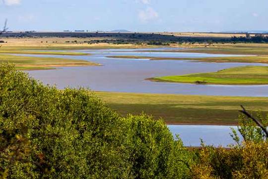 Willem Pretorius Game Reserve